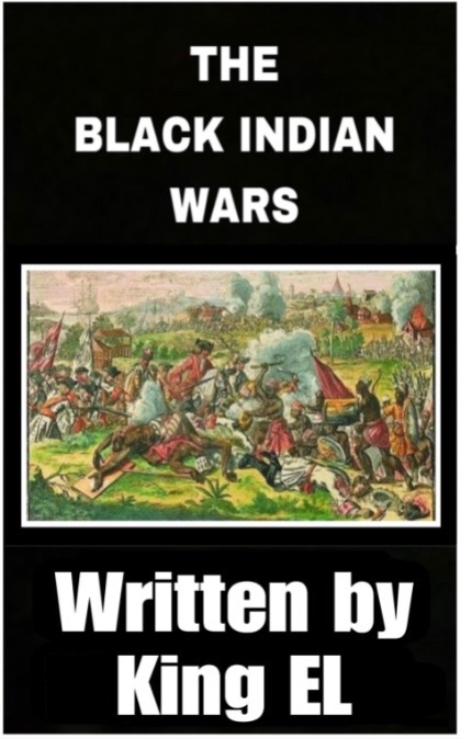 The Black Indian Wars by King El book cover